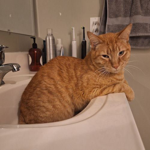 Beamer sitting in a sink